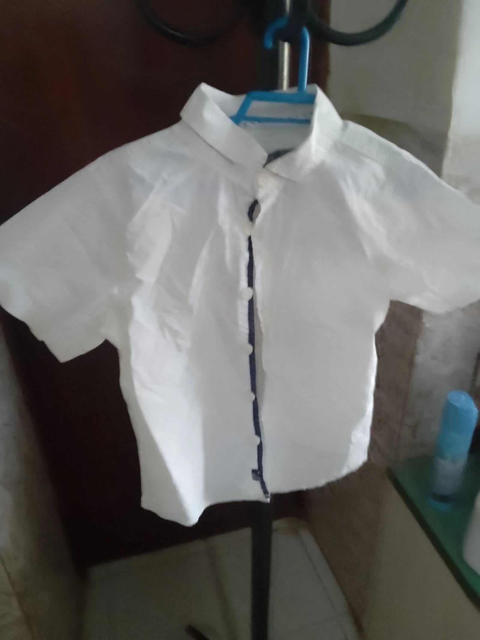Camisa basics